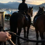 Étoile et Hugo, les chevaux policiers qui veillent sur Annecy